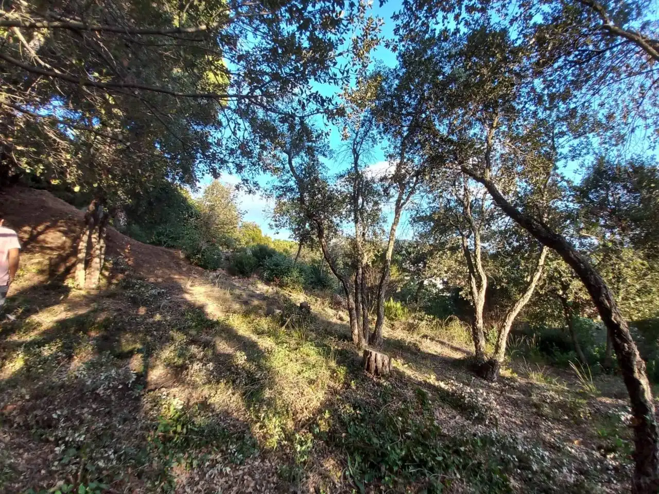 Terreno en venta en Calle Mataró, 27, Can Massuet del Far