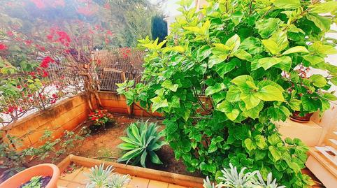 Foto 2 de Planta baixa en venda a Palmanova, Calvià