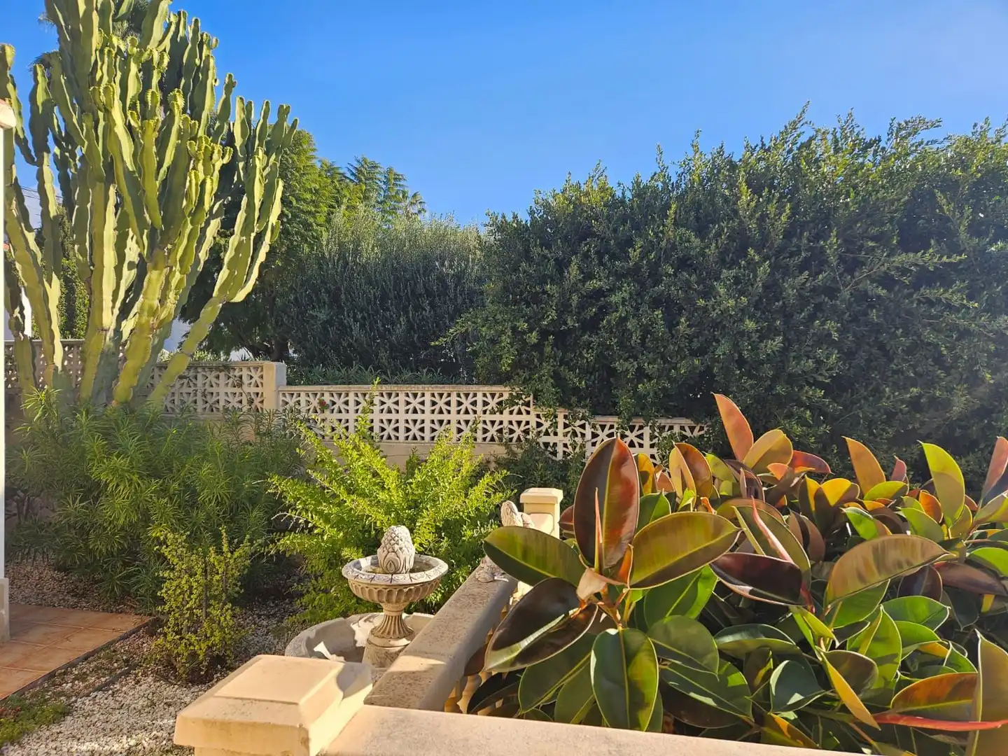 Maison avec piscine à vendre à Pinar del Advocat - Cometa, imagen 48