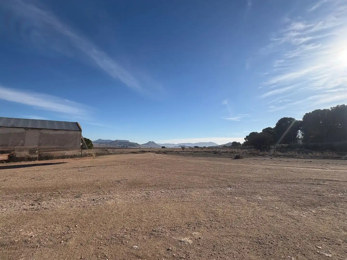 Finca rústica en venta en Ontur