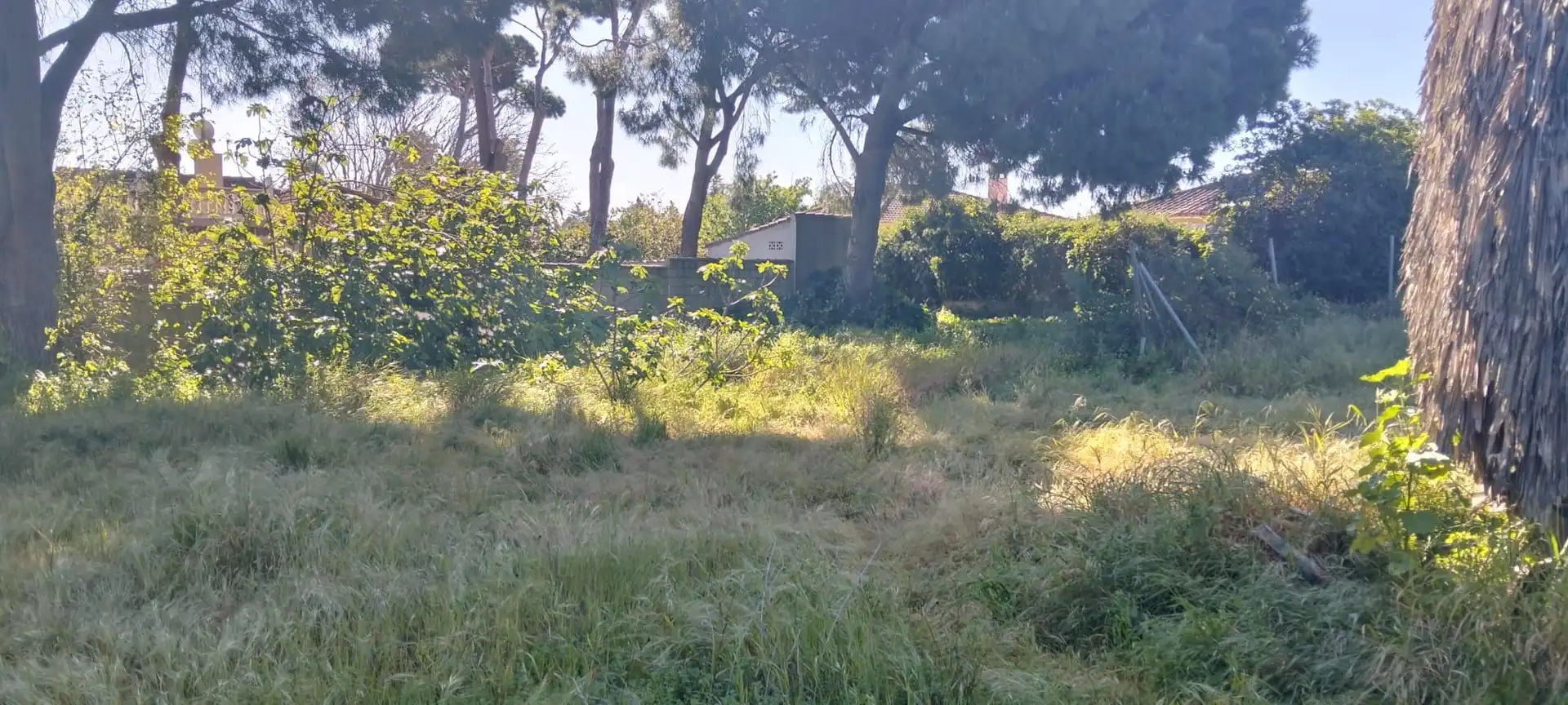 Terreni e lotti in vendita a Los Franceses – La Vega, imagen 13