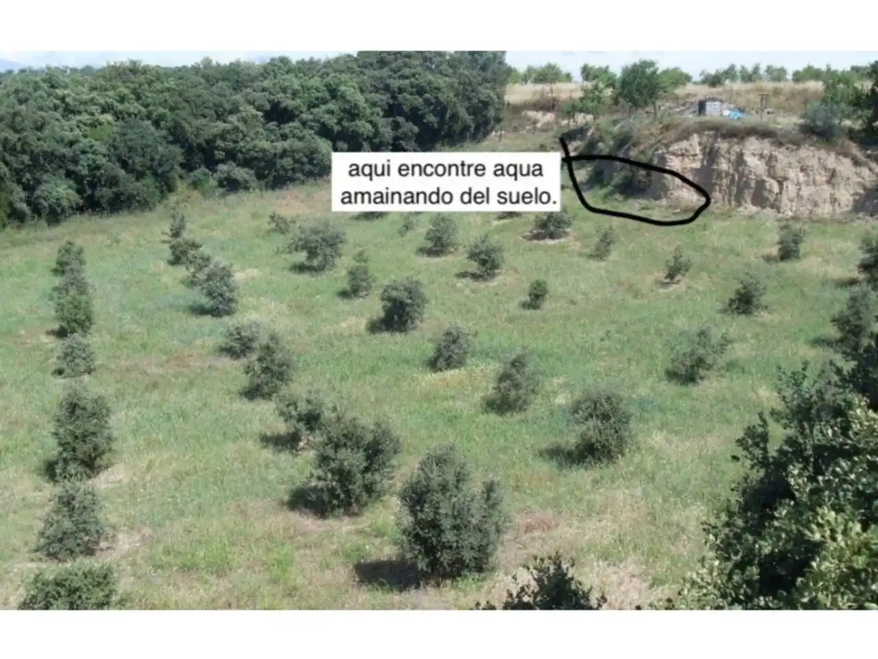 Terreni e lotti in vendita a Poligono 19, imagen 2