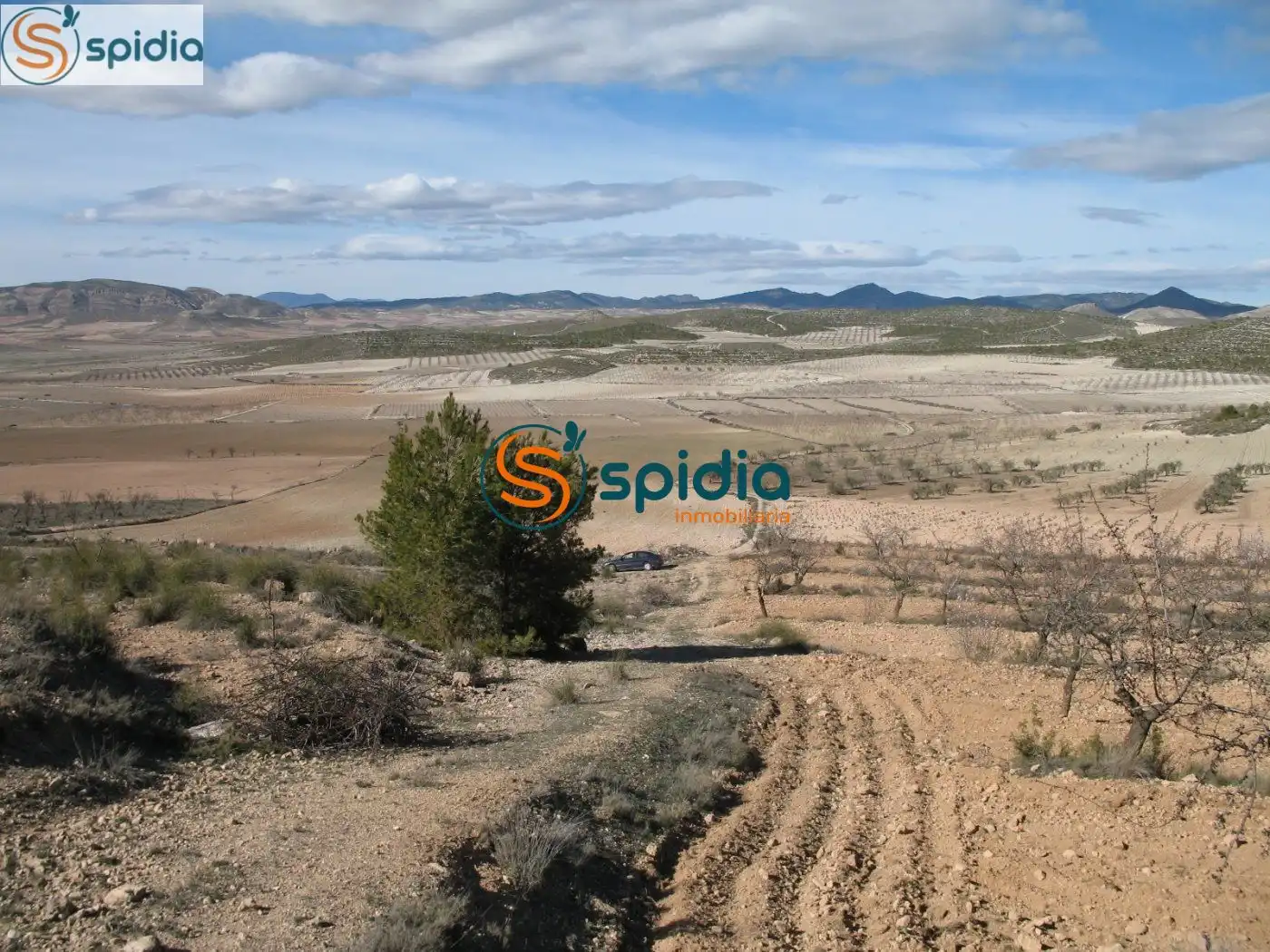 Residential land for sale in Pedanías Norte, imagen 17