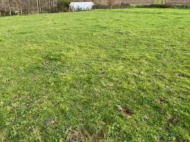 Land for sale in Lezama