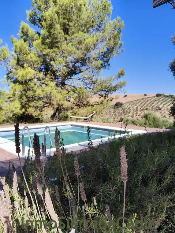 Piscina de Finca rústica en venta en Zahara con Jardín privado, Terraza y Trastero