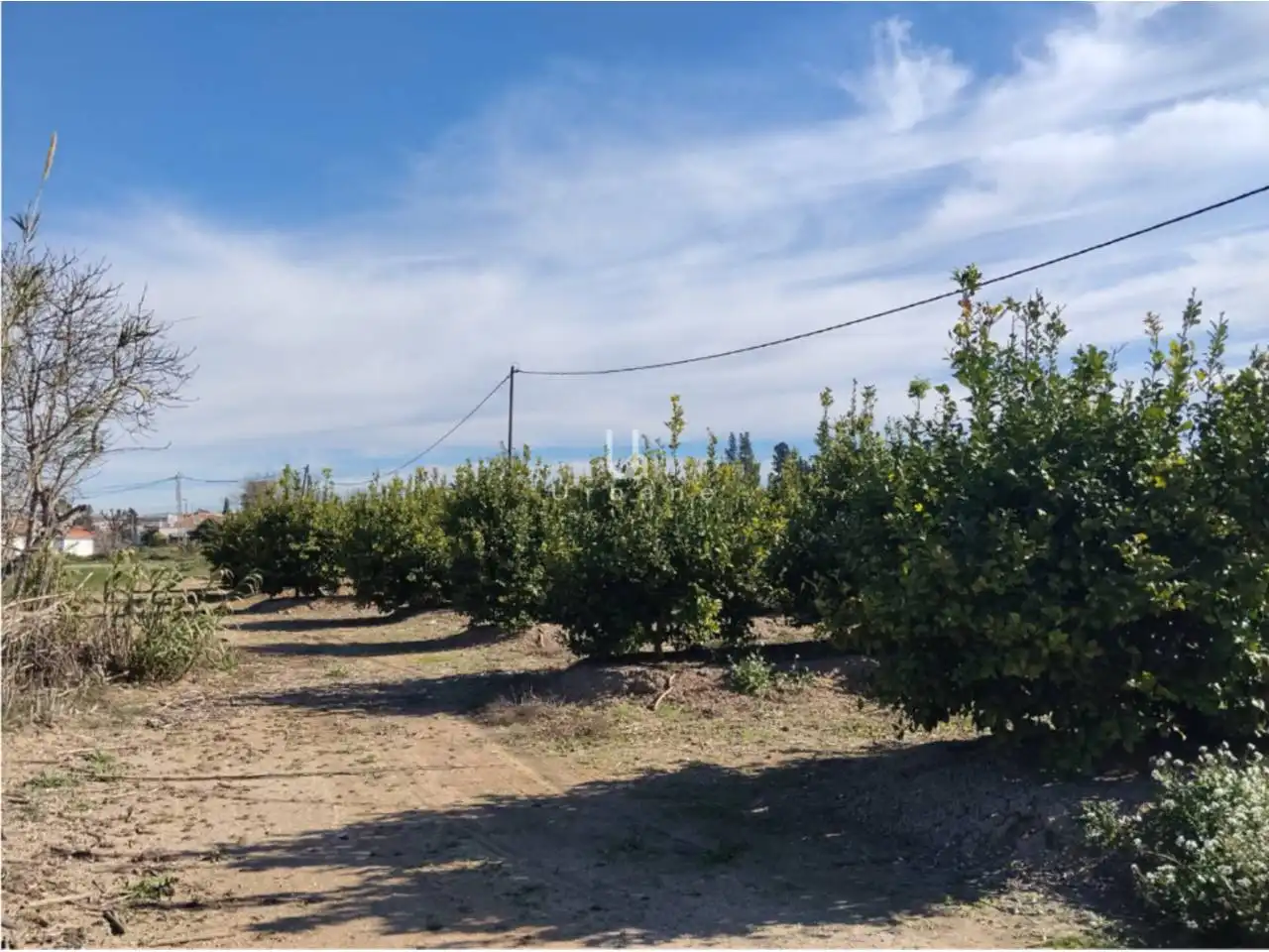 Terreny rústic en venda a Camino Huerta de Abajo, imagen 15