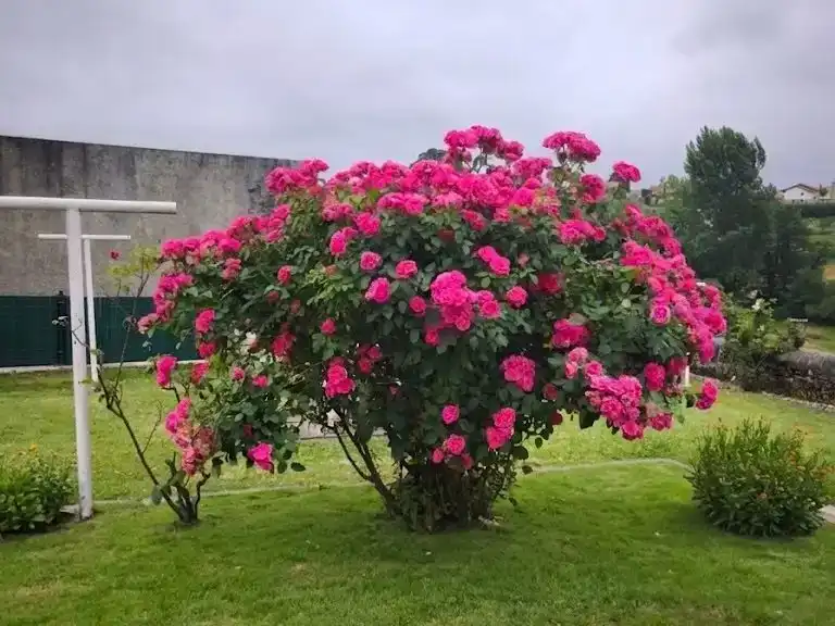 Jardín de Piso en venta en Suances, Cantabria