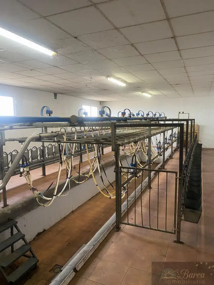 Nave industrial en venta en Rute