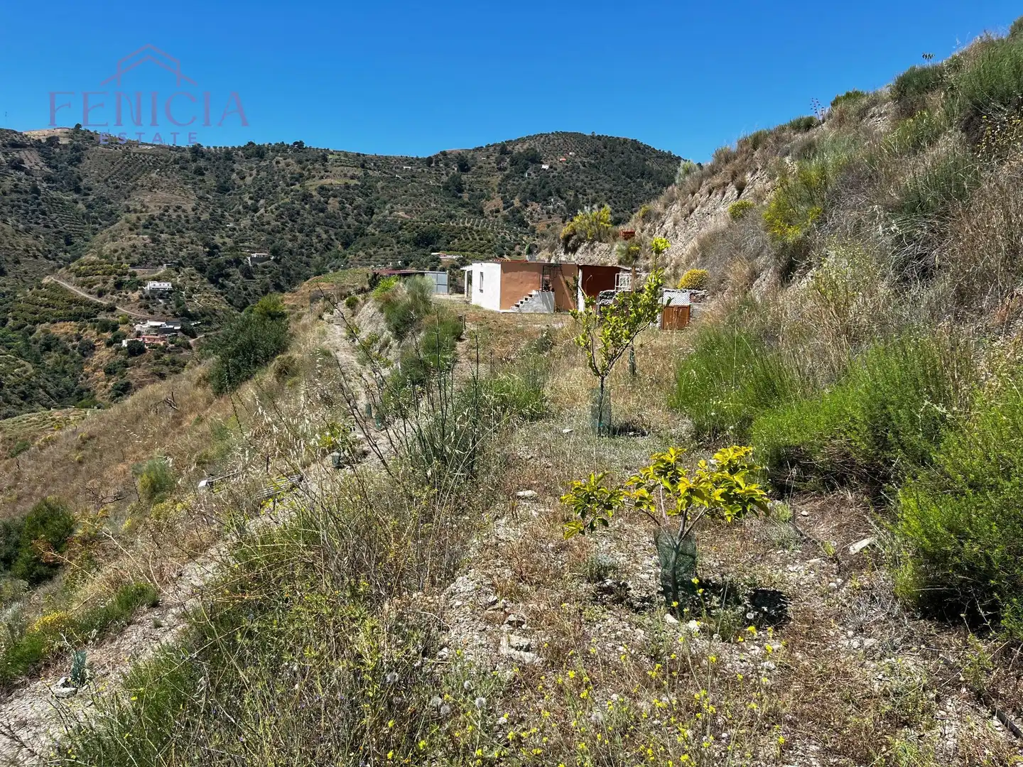 Country homes for sale in Almuñécar