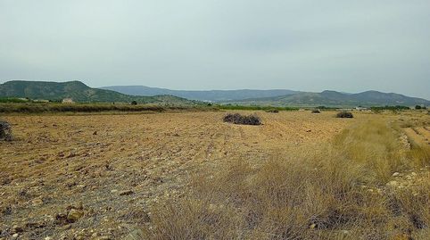 Terreno en venta en Monovar., imagen 3