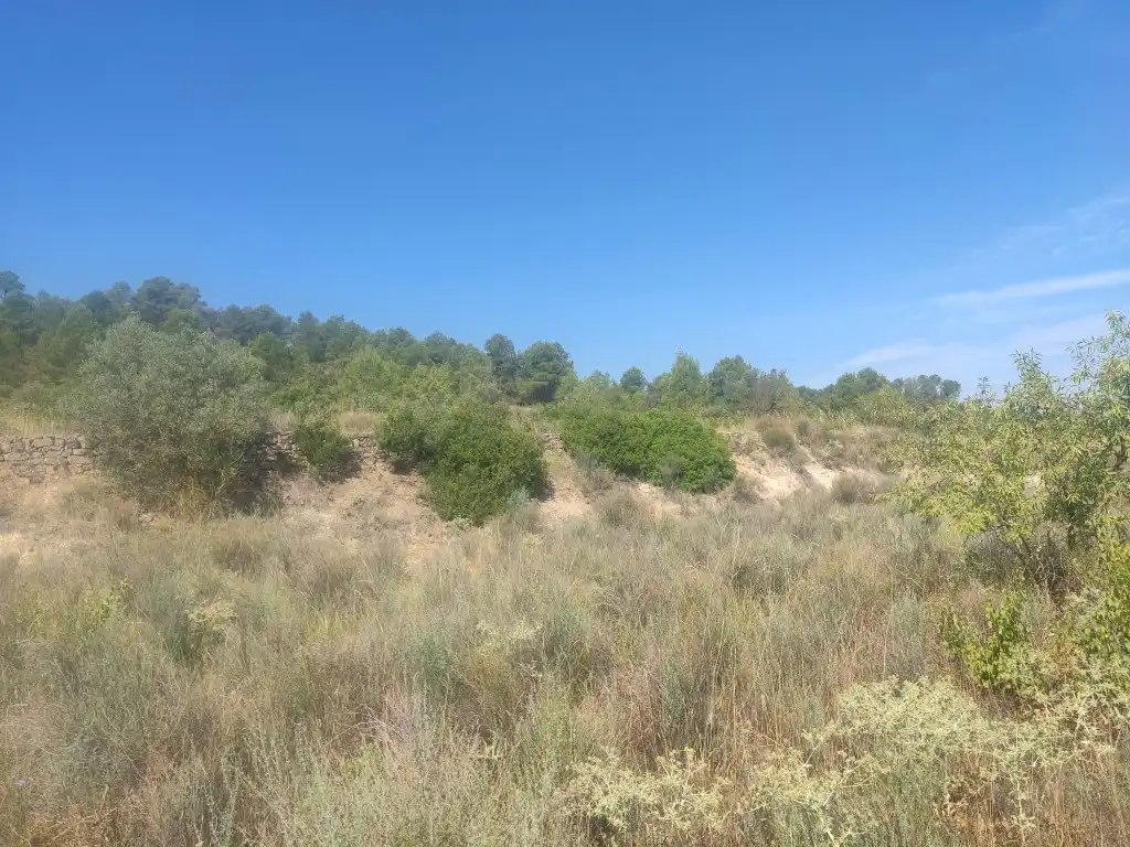 Rural land for sale in Gandesa, imagen 15