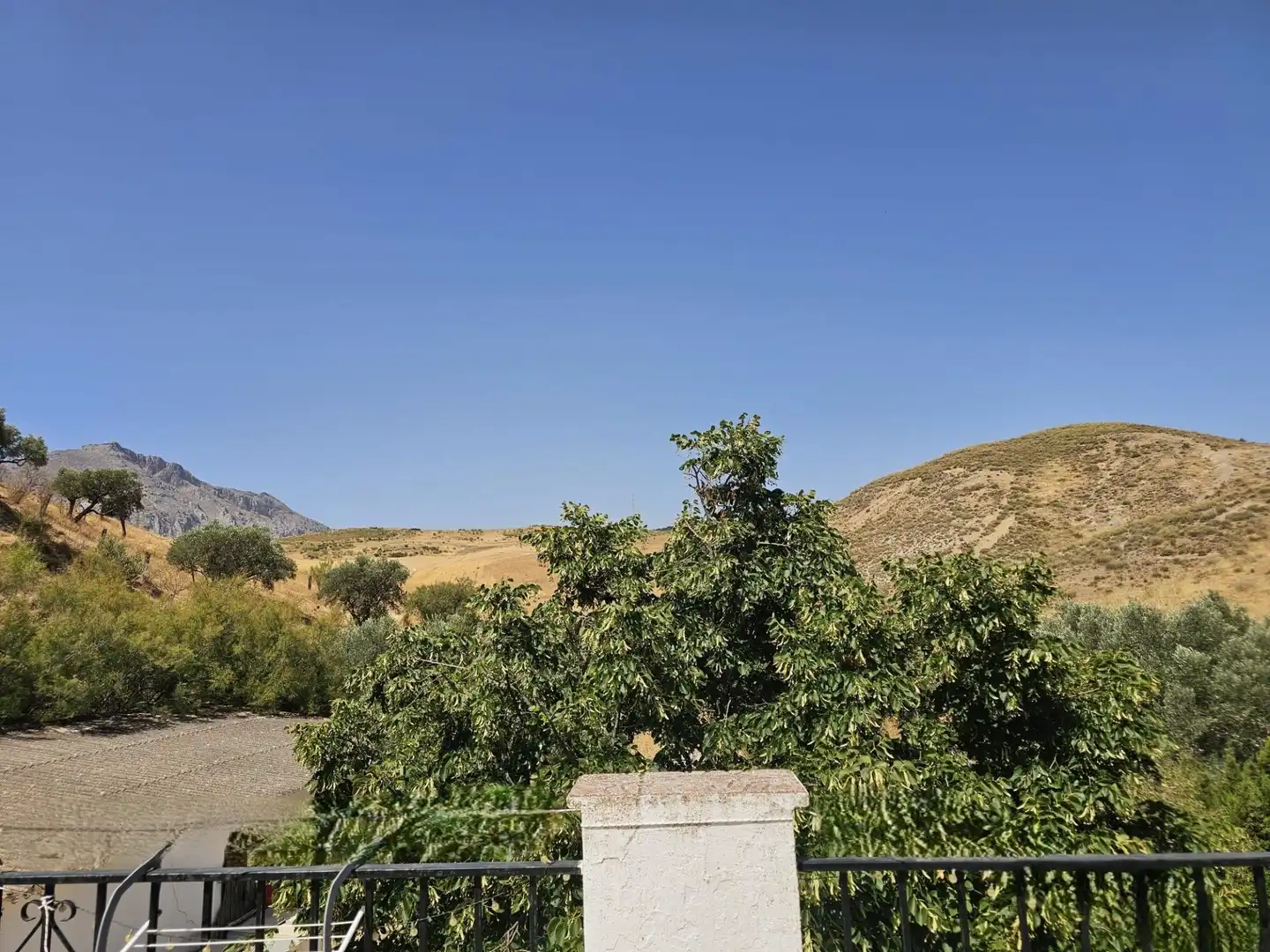 Vista exterior de Finca rústica en venta en Antequera con Aire acondicionado, Calefacción y Amueblado