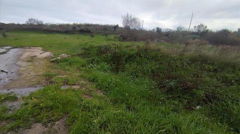 Foto 5 de Residencial en venda a Paraje Dehesa de Los Caballos, S/n, -1, Miralvalle - Av. Virgen del Puerto - La Data, Plasencia