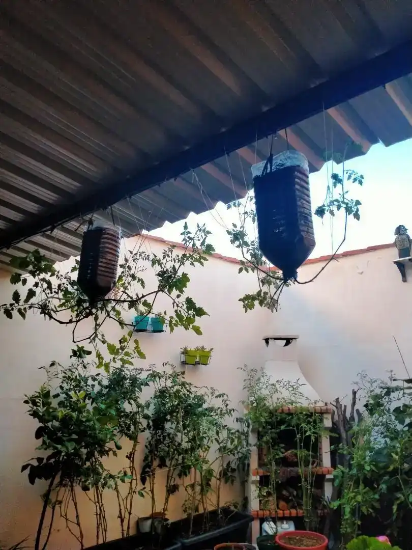 Jardín de Casa o chalet en venta en Malagón