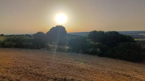 Foto 2 de Terreno en venta en Polígono 55 Parcela 240 Lugar Patria, Vejer, Vejer de la Frontera