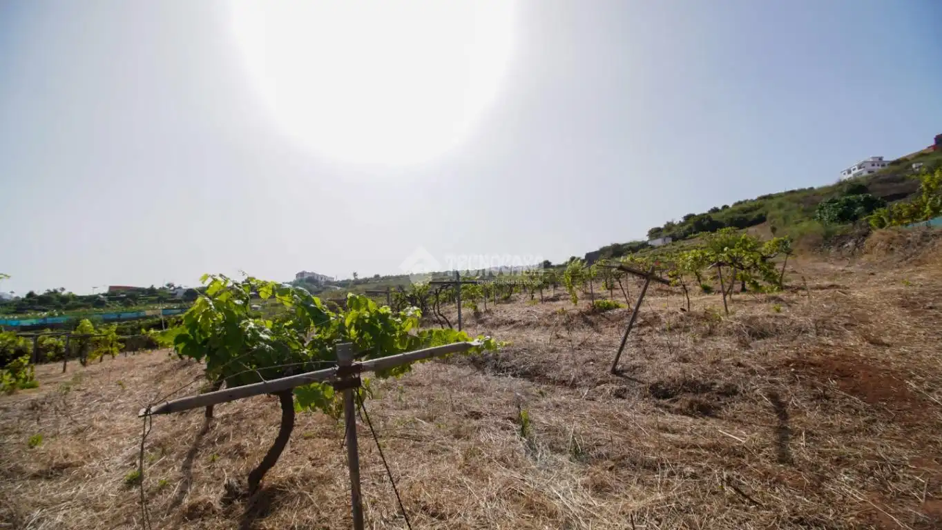 Finca rústica en venta en El Sauzal