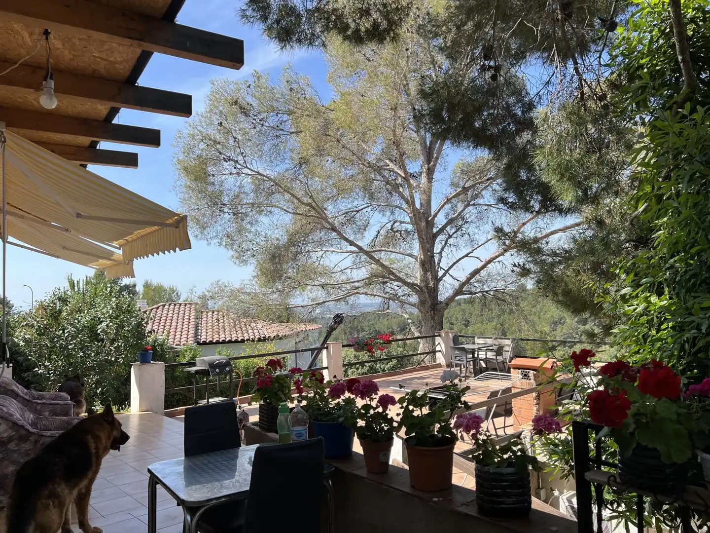 Casa o xalet en venda a ARBOLI, Almoster