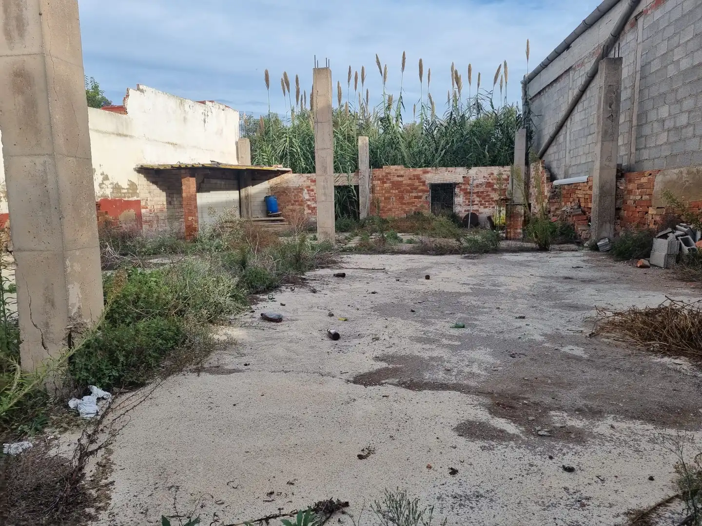 Terreno rustico in vendita a Camí Vell de la Mar 78, imagen 5