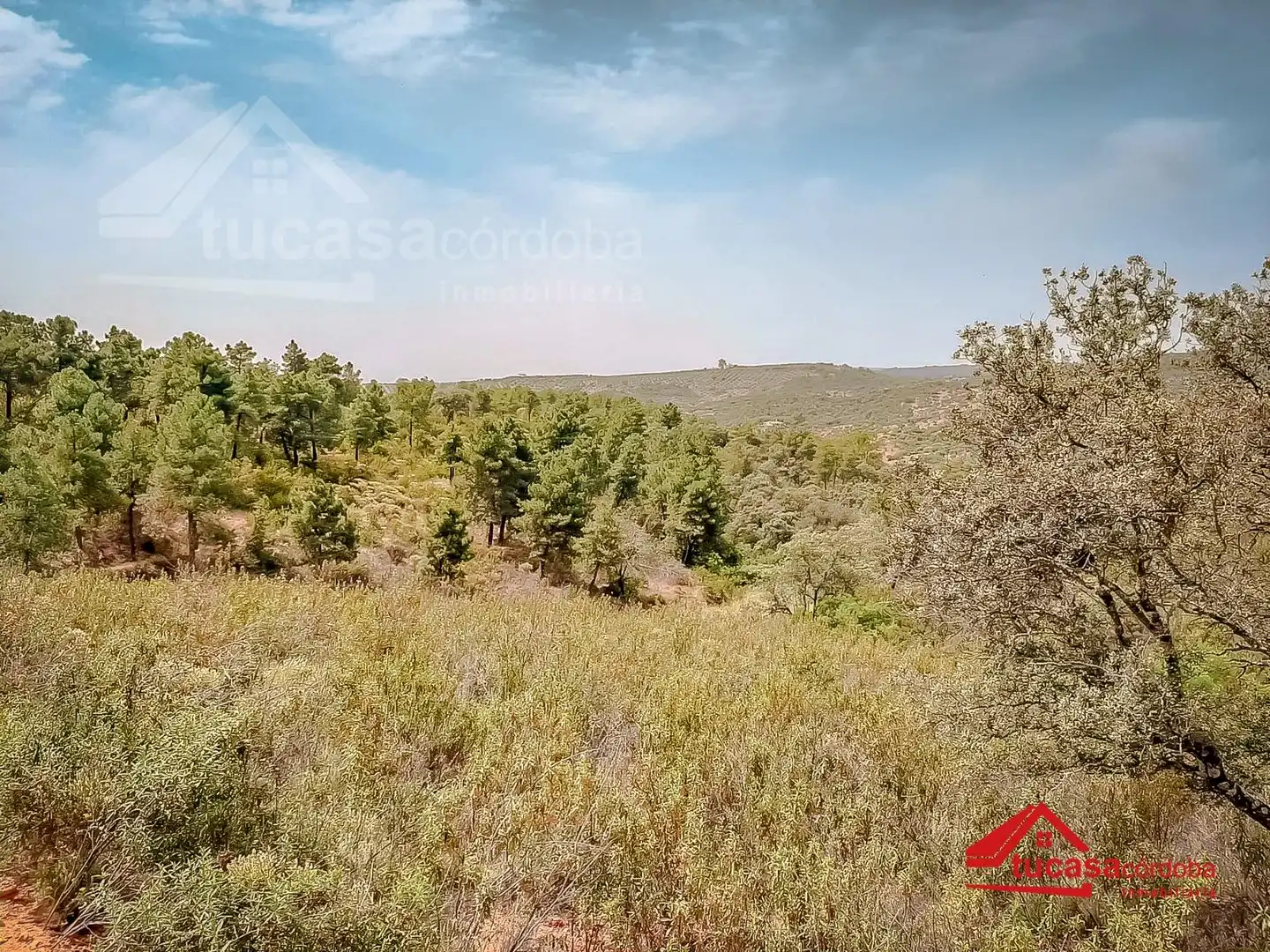 Finca rústica en venta en Montoro con Jardín privado y Parquet