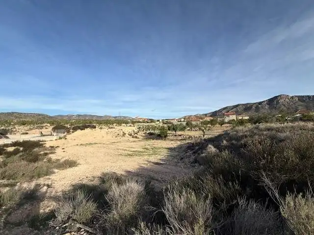 Lands and plots for sale in Abanilla, imagen 10