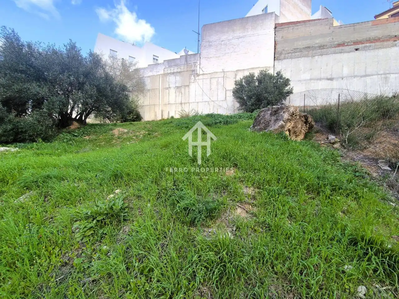 Terreny industrial en venda a Loja, imagen 2