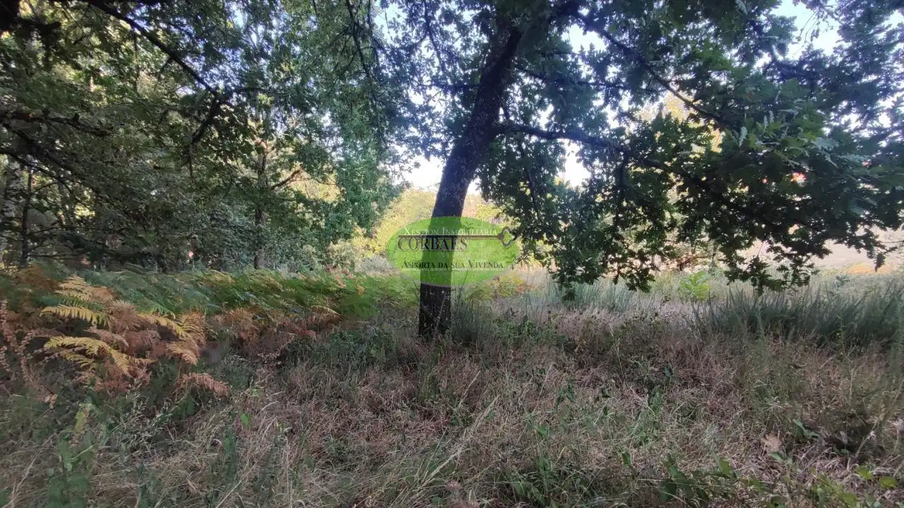 Residential land for sale in O Carballiño, imagen 5