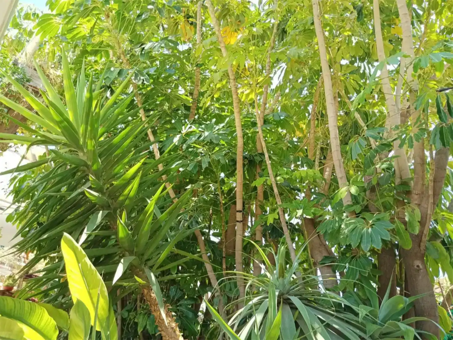 Jardín de Piso en venta en La Nucia con Aire acondicionado, Piscina y Balcón