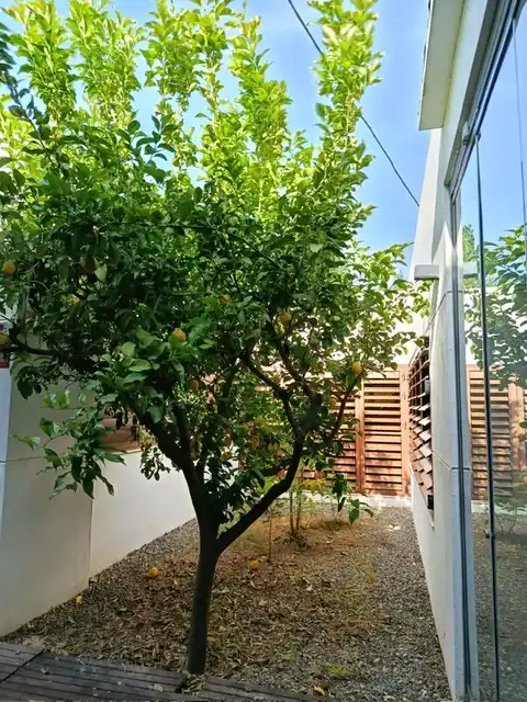 Casa o chalet en venta en Avenida de la Paz, 9, Rágol