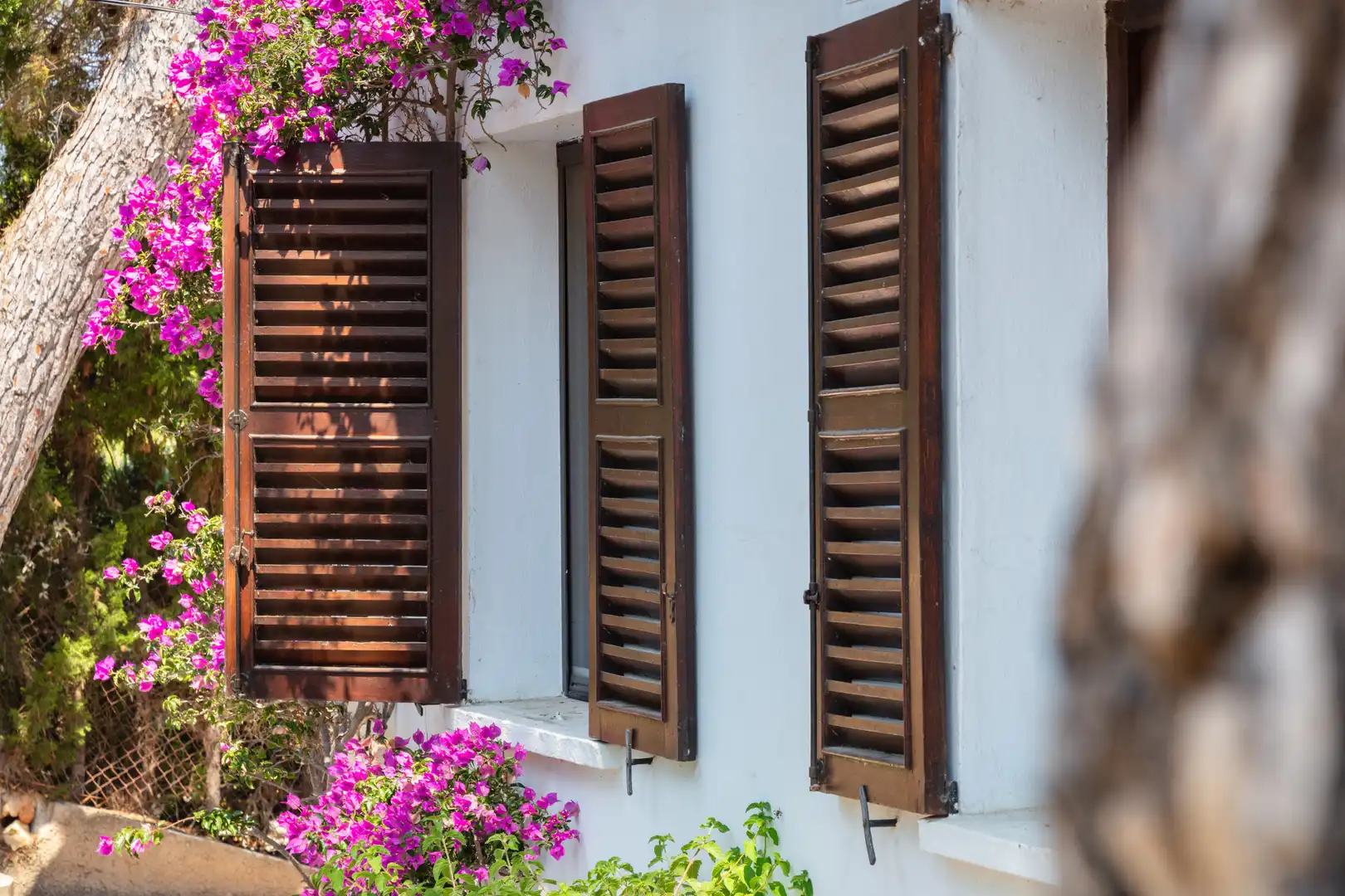 Casa o chalet en venta en La Granadella - Costa Nova