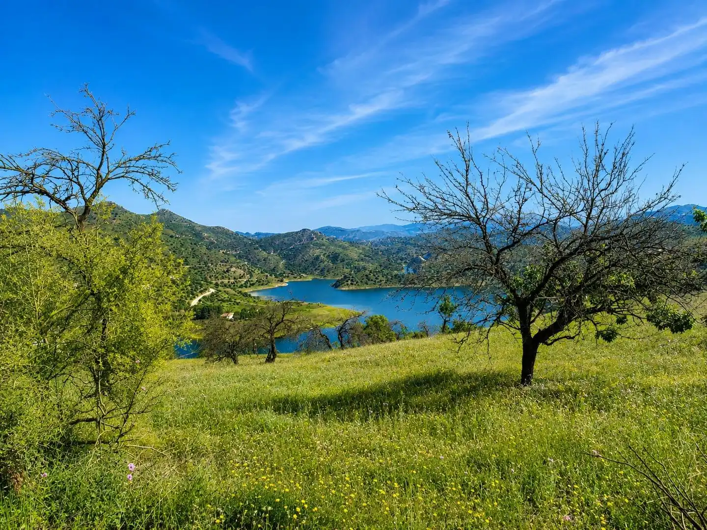 Grundstücke zum Verkauf in Almogía