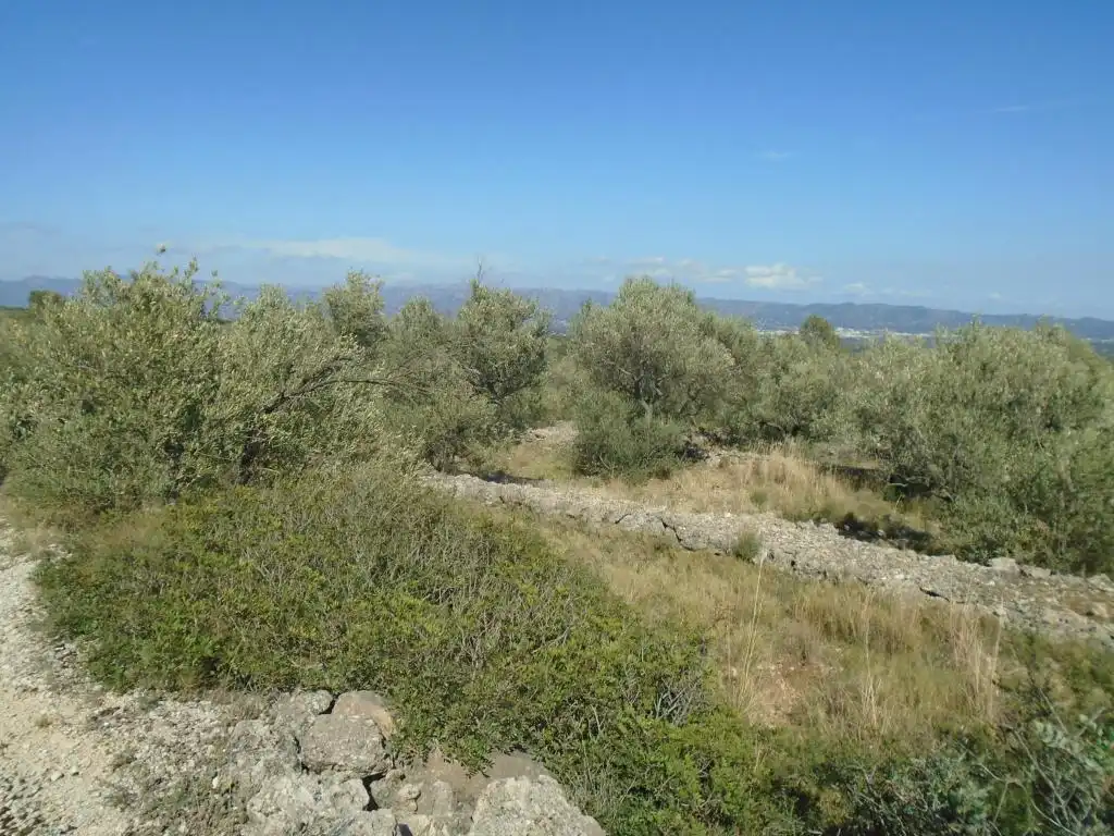 Residential land for sale in Vall D'En Pasto, imagen 11
