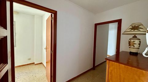 Foto 3 de Piso de alquiler en Plaça de Toros, Palma de Mallorca