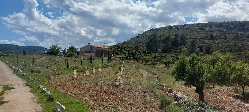 Finca rústica en venta en Albocàsser