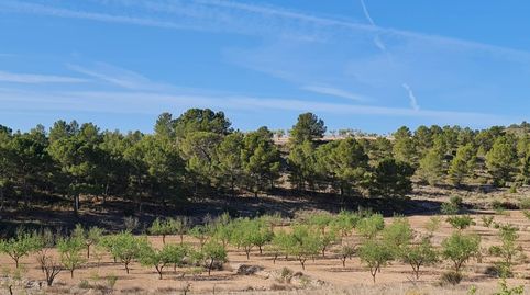 Foto 2 von Residential zum Verkauf in N/a, -1, Yecla, Murcia