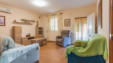 Foto 3 de Finca rústica en venda a Camino del Madroño, Bonares, Huelva