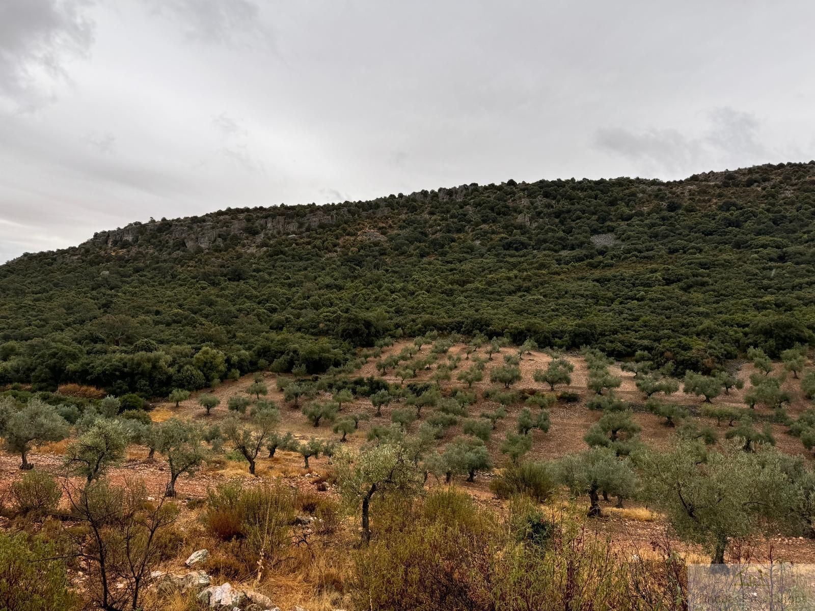 Residential for sale in Cabeza del Buey