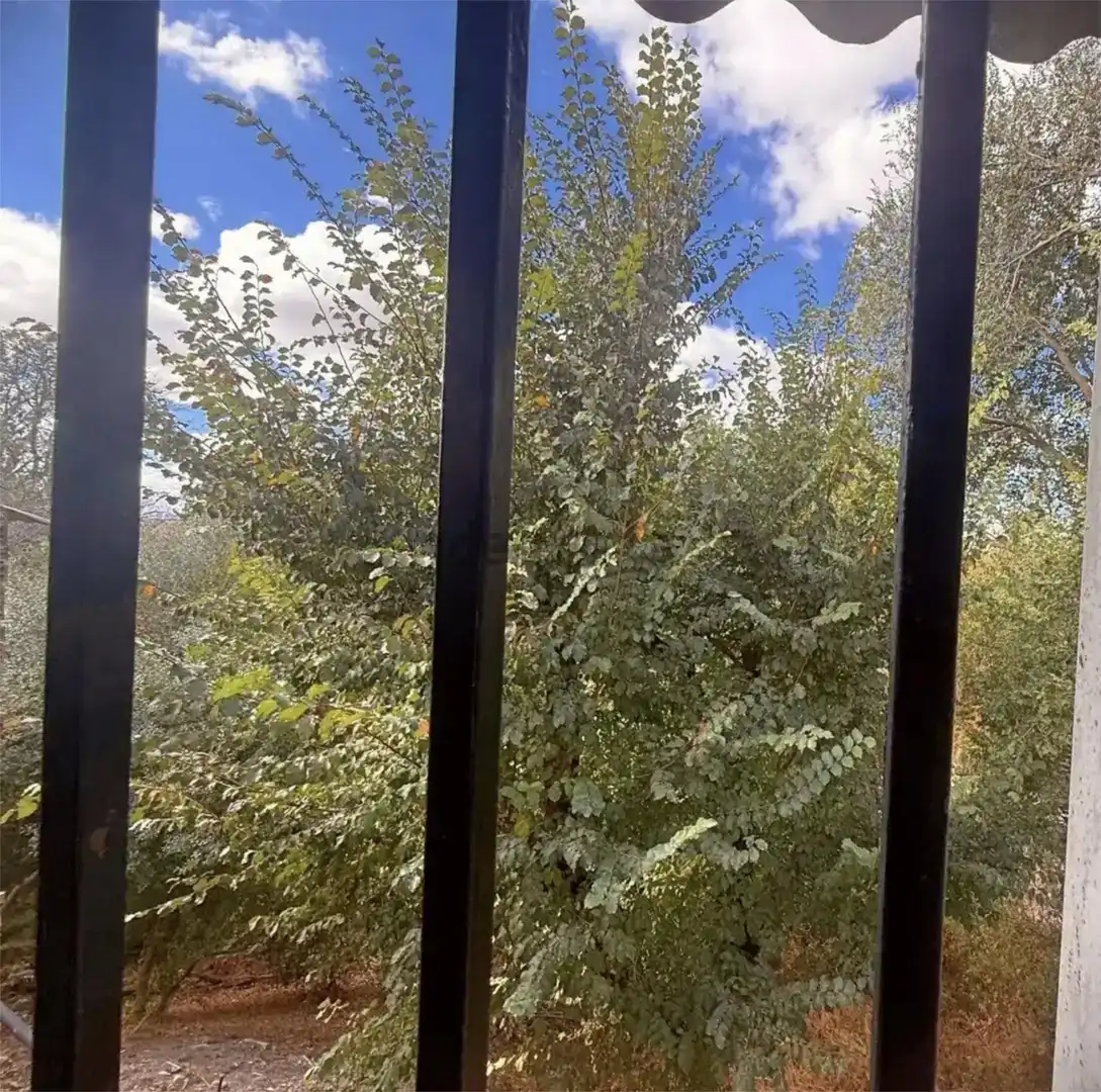 Terrassa de Casa adosada en venda en Antequera