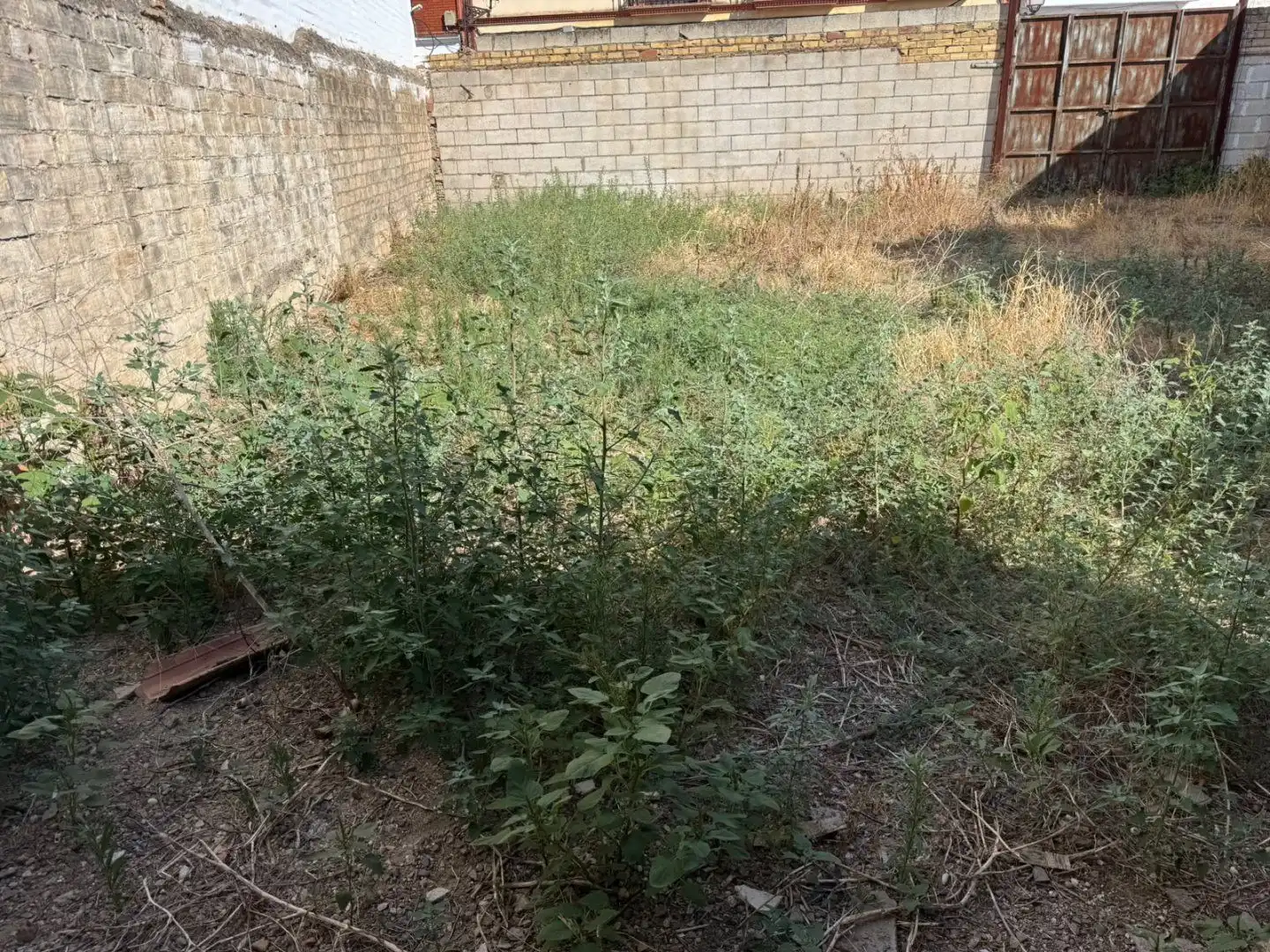 Terrenys i solars en venda a Olivares, imagen 4