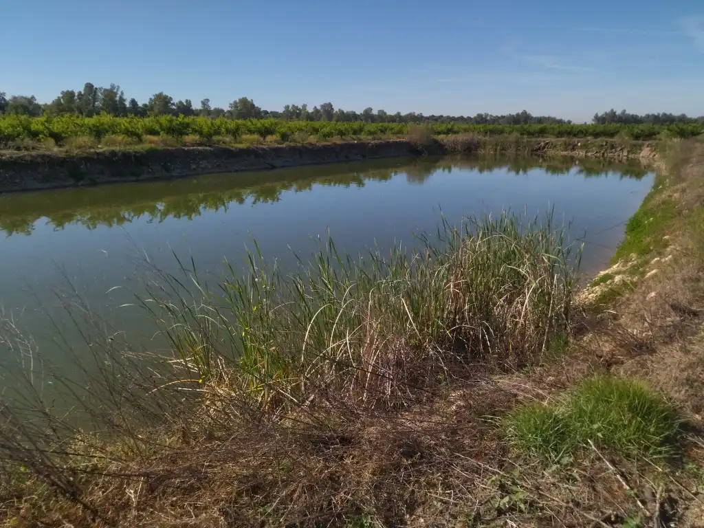 Terreno en venta en Campo Lugar