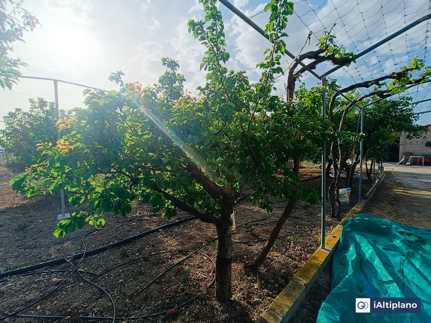 Casa o xalet en venda en Baza amb Jardí privat, Piscina i Moblat