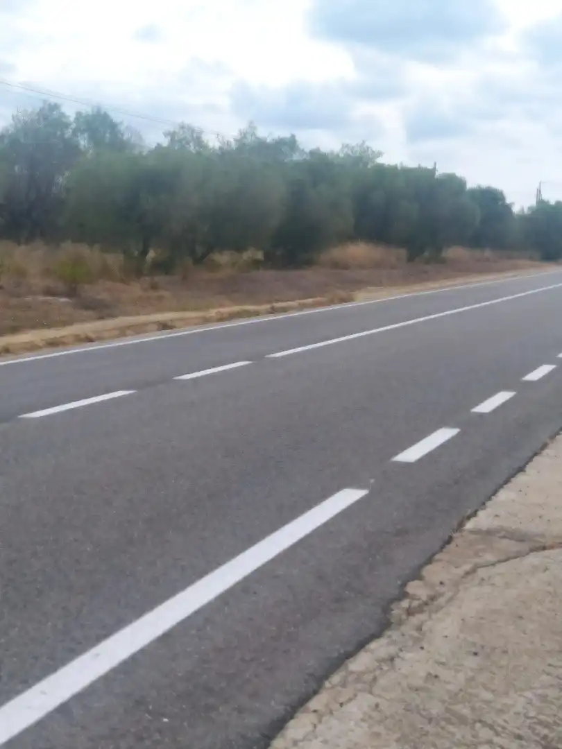 Terreny rústic en venda a Montbrió del Camp, imagen 4
