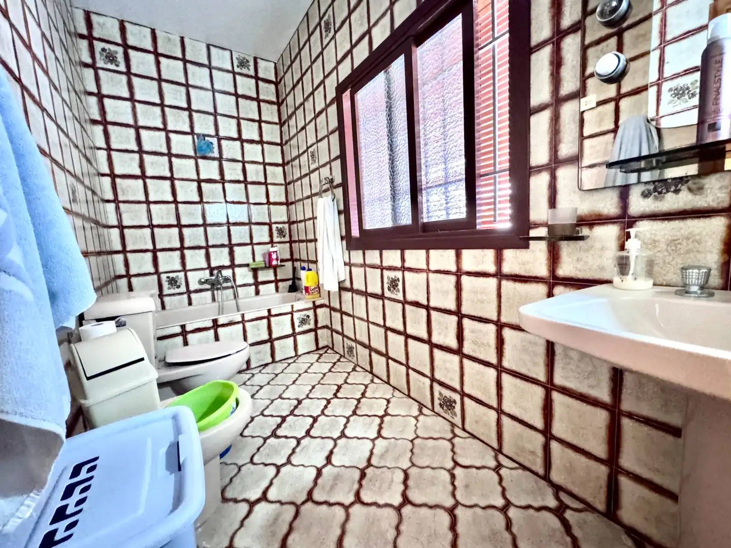 Bathroom of Houses for sale in Adra  with Terrace, Storage room and Furnished