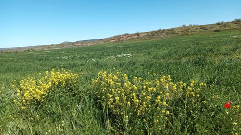 Foto 3 de Terreno en venta en Alcaraz, Albacete
