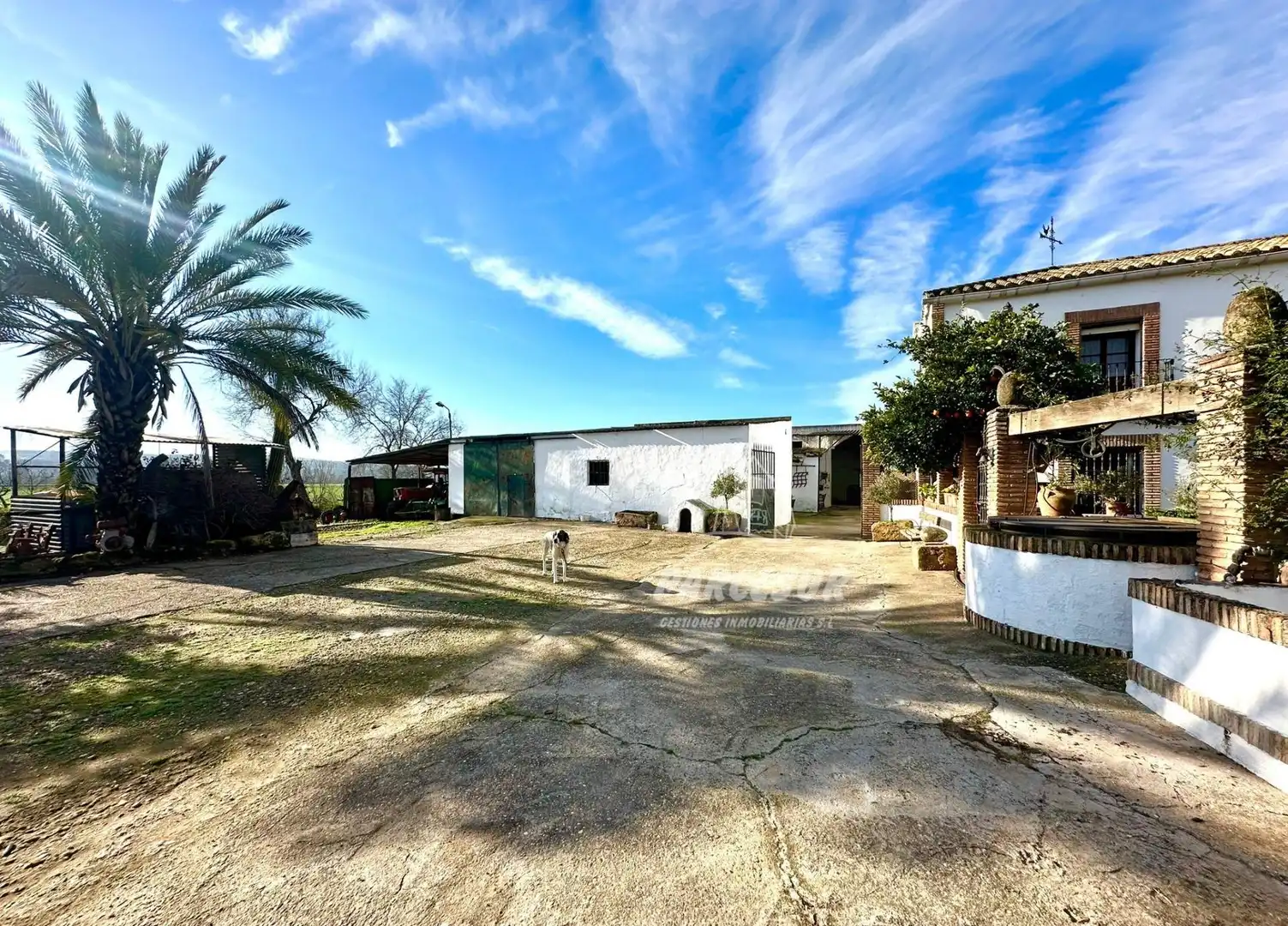 Außenansicht von Country house zum Verkauf in Córdoba mit Schwimmbad