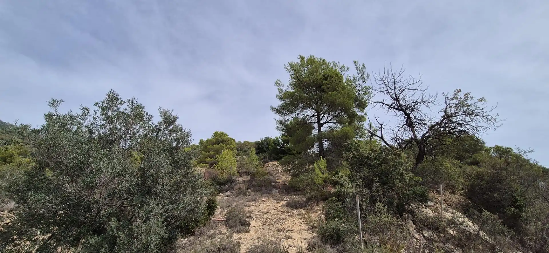 Casa rústica en venta en Finestrat Pueblo, imagen 9