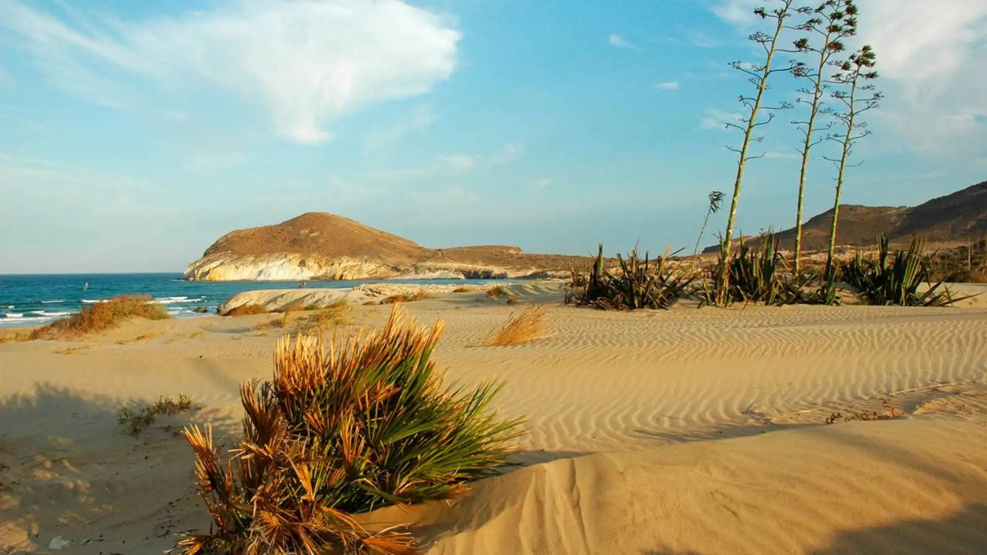 Vista exterior de Casa o chalet en venta en Níjar con Terraza