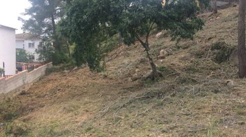 Photo 2 of Industrial land for sale in Calle Sant Sadurní, Subirats, Barcelona