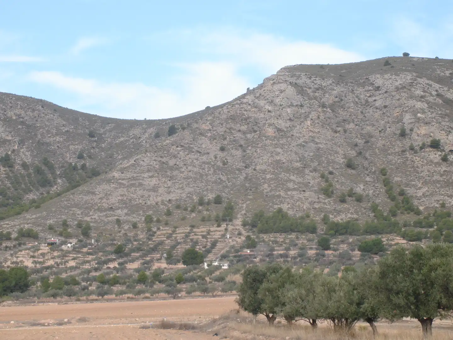 Rural land for sale in Ptda Toconar o Solana, Pol 55, imagen 5