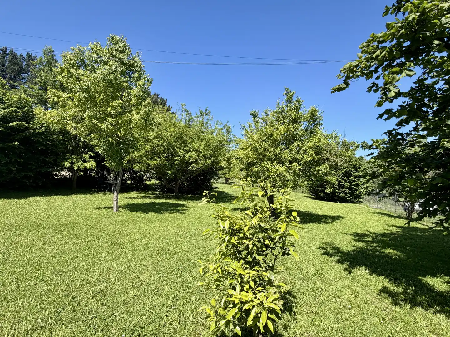 Casa amb jardí en venda a Queveda - BO QUEVEDA-MERMON 10, imagen 18