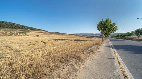 MÁGNIFICA FINCA RÚSTICA,  EN EL PUNTAL PADUL, GRANADA, immagine 5